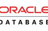 Migration from Oracle Database Enterprise Edition to Standard Edition.