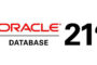 Oracle database upgrade 12c to 19c with Standby on ODA